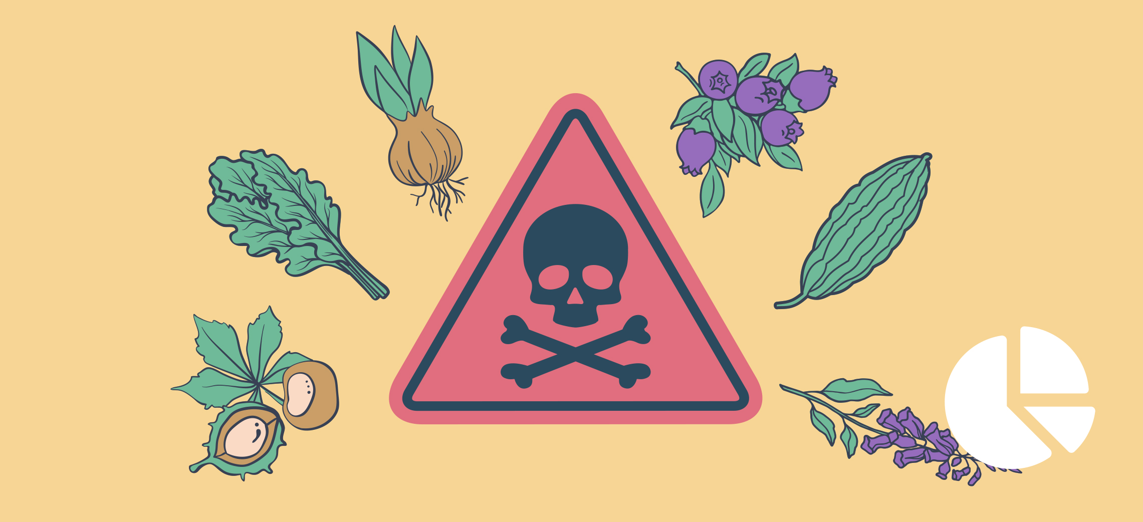 Plantes toxiques ou comestibles, à ne pas confondre