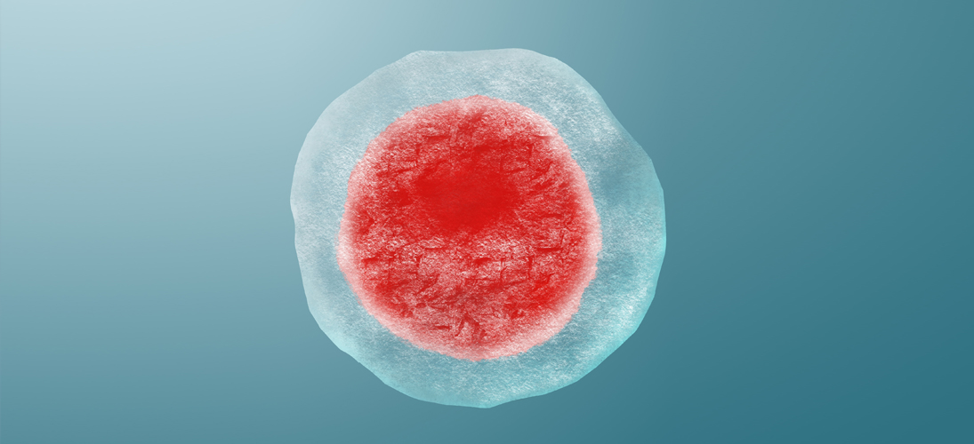 L’autoconservation des ovocytes en 5 questions
